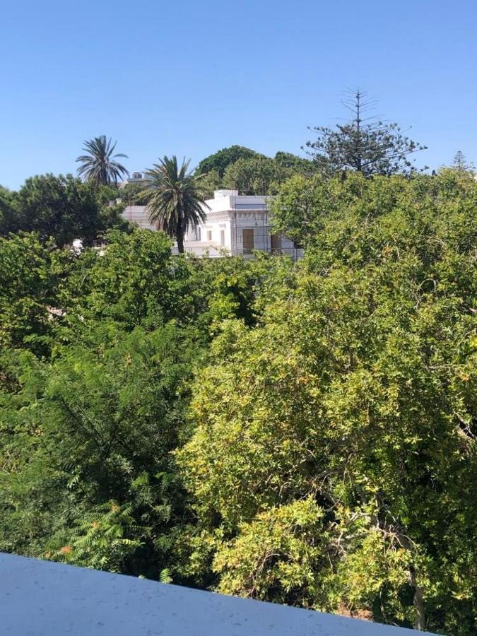 Paraskevi'S Apt - City Center W/ Lovely Park View Rhodes City Luaran gambar